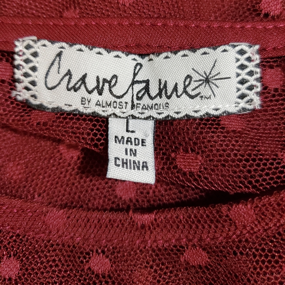 Crave Fame Embroidered Semi-Sheer Top - Picture 9 of 11